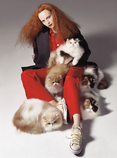 Catsparella: Noted Cat Lover Grace Coddington Creates Kitty