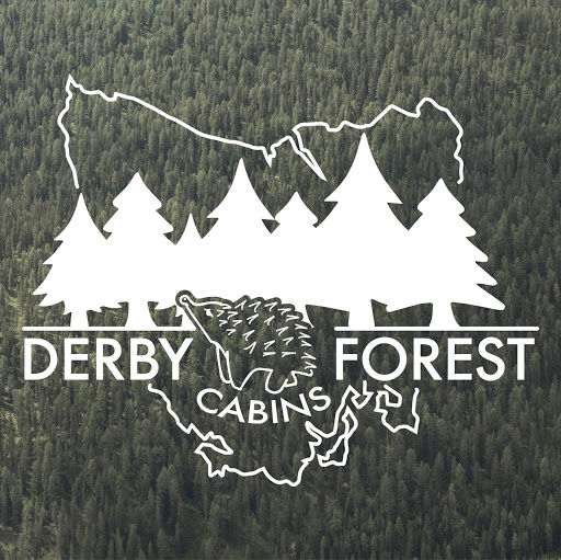 Derby Forest Cabins