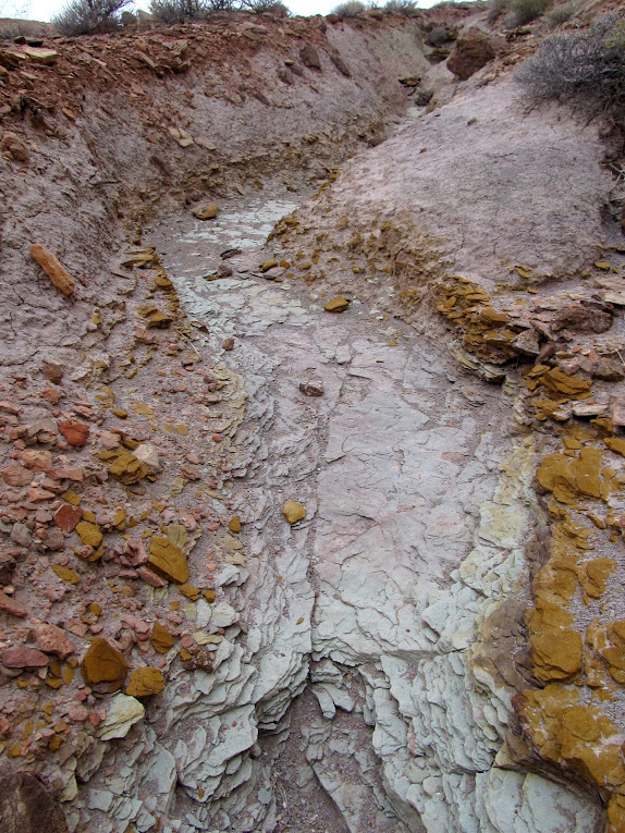 Purplish and orange layers on the mining track