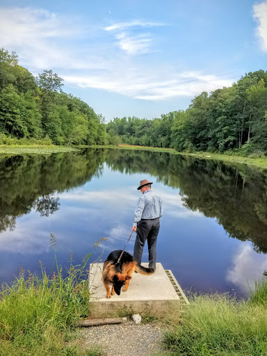 Park «Cedarville State Forest», reviews and photos, 10201 Bee Oak Rd, Brandywine, MD 20613, USA