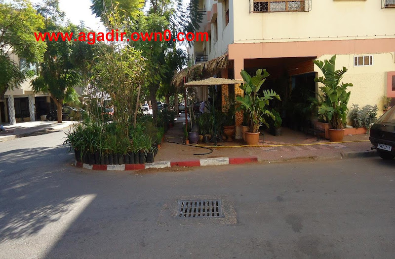 شارع سليمان الروداني حي الموظفين بمدينة اكادير DSC01687