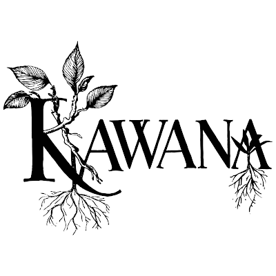 Argentina vs Spain World Cup 2026 Final Watch Party at KAWANA KAVA BAR