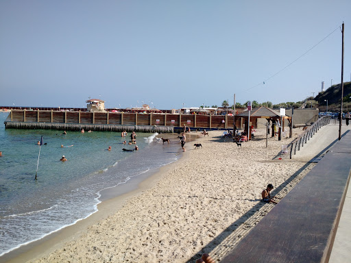 Metsitsim Beach