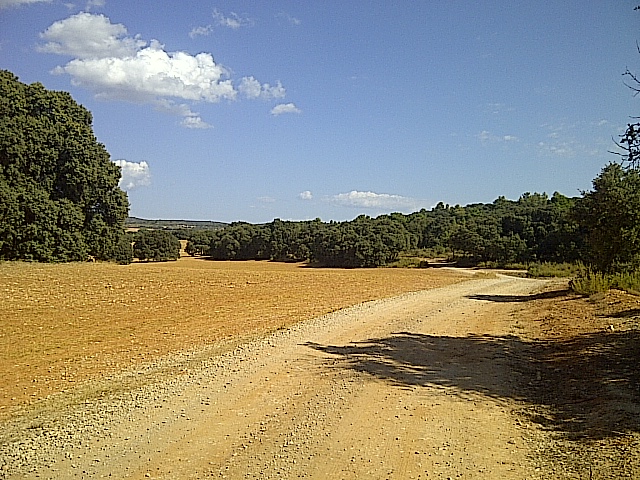 (09) 21-09-2011 Ruta de la Lana  - Página 4 Castillejo%252520de%252520Iniesta-20110922-00070