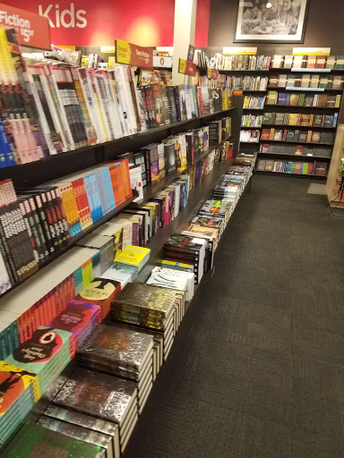Book Store «Books-A-Million», reviews and photos, 1250 Baltimore Pike L31A, Springfield, PA 19064, USA