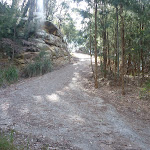 Elvina track near West Head Rd (304521)