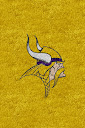 Minnesota%252520Vikings%252520Yellow.jpg