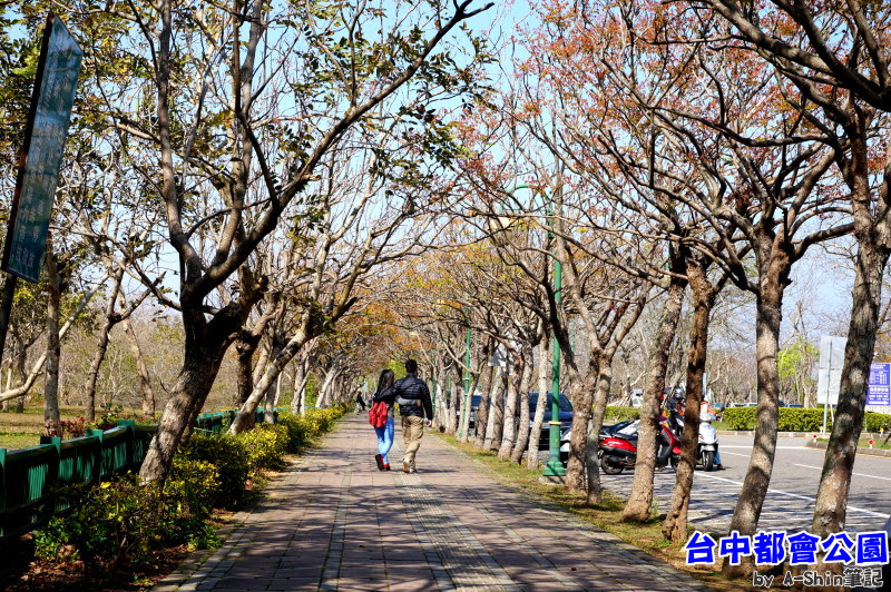 台中都會公園|走！跟阿新一起去台中都會公園踏青去~~這裡可是悠哉的很