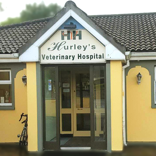 Hurley's Veterinary Hospital