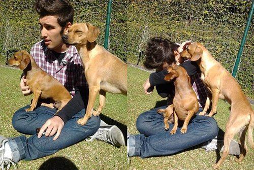guys pets 6 Afternoon eye candy: Guys with animals! (25 photos)