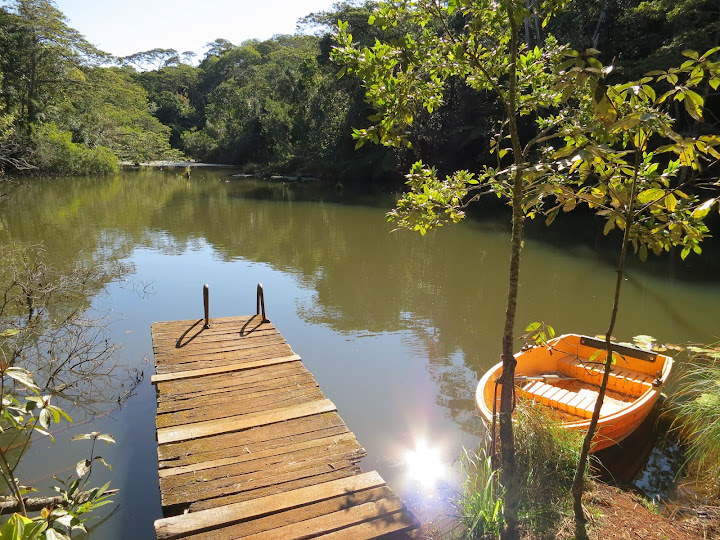 Australia de costa a costa - Blogs de Australia - Cairns, Cape Tribulation, Atherton Tablelands-9 al 14 de Agosto de 2012 (19)