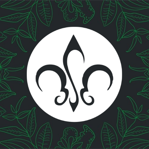 Salon Fleur de Lis logo