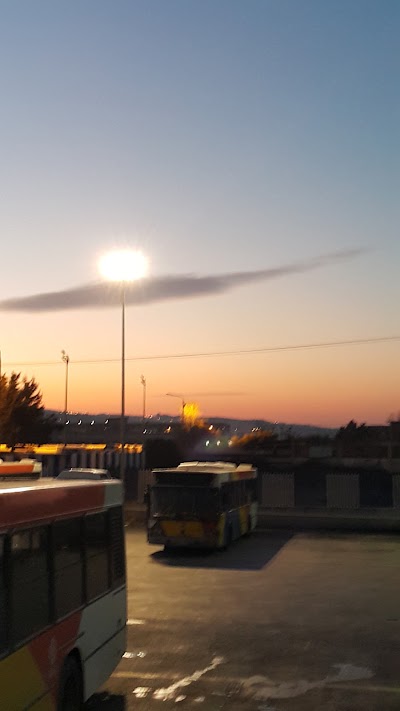 Photos of &Omicron;&rho;&gamma;&alpha;&nu;&iota;&sigma;&mu;ό&sigmaf; &Alpha;&sigma;&tau;&iota;&kappa;ώ&nu; &Sigma;&upsilon;&gamma;&kappa;&omicron;&iota;&nu;&omega;&nu;ί&omega;&nu; &Theta;&epsilon;&sigma;&sigma;&alpha;&lambda;&omicron;&nu;ί&kappa;&eta;&sigmaf; &Alpha;&mu;&alpha;&xi;&omicron;&sigma;&tau;ά&sigma;&iota;&omicron; &Sigma;&tau;&alpha;&upsilon;&rho;&omicron;&upsilon;&pi;ό&lambda;&epsilon;&omega;&sigmaf;