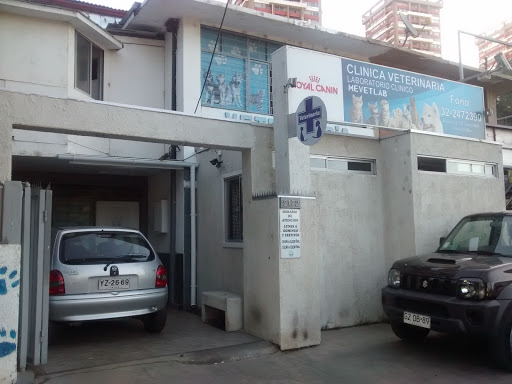 Mevetlab, Calle Alvarez 2172, Viña del Mar, Valparaíso, Región de Valparaíso, Chile, Veterinaria | Valparaíso