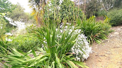 Photos of Alexandra garden