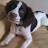 Sandy Strachan avatar image