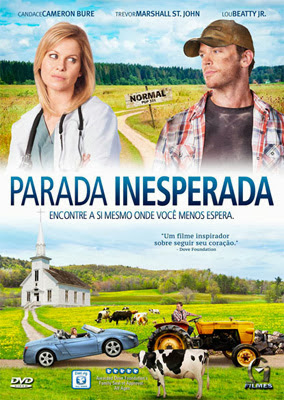 Filme Poster Parada Inesperada DVDRip XviD Dual Audio & RMVB Dublado
