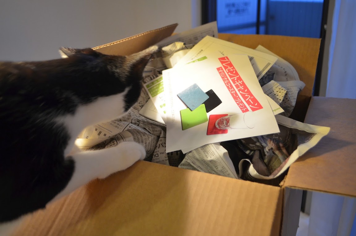 メイソンジャー　レッドネックシッパー