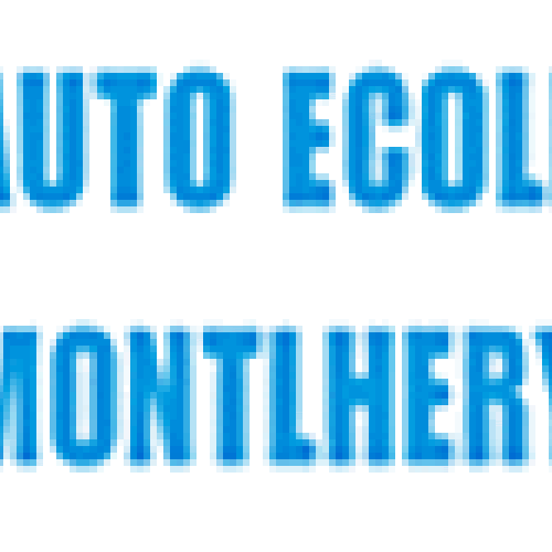 Auto Ecole Monthléry logo