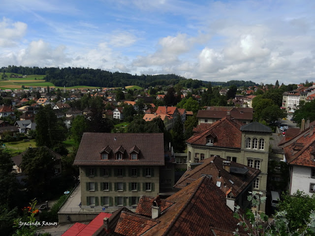 Passeando pela Suíça - 2012 - Página 14 DSC05114