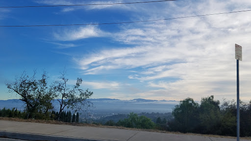 The Groves Overlook