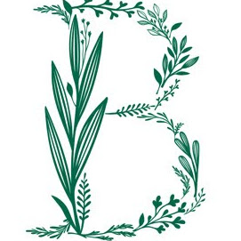 Botaniful logo