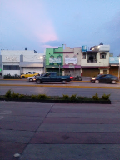 Tonalá Comisaría De Seguridad Pública, Av. Tonaltecas 197, Tonalá Centro, 45400 Tonalá, Jal., México, Servicios de emergencias | CHIS