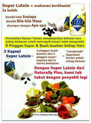  Reaksi Pemulihan (Healing Crisis)