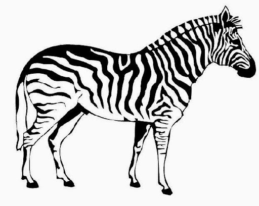 African Animals Coloring Pages