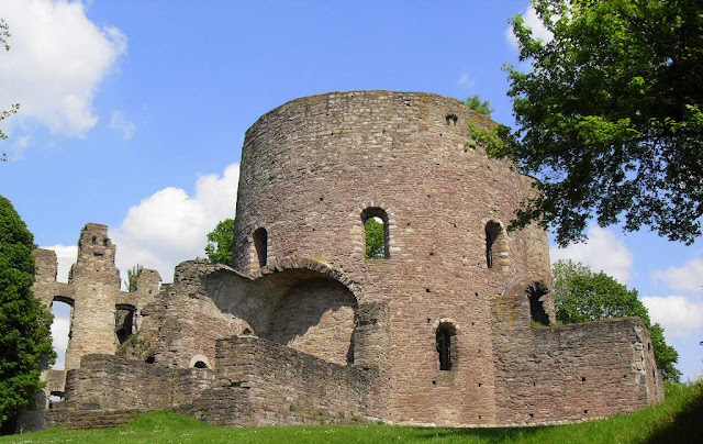 SDC14097_4.JPG