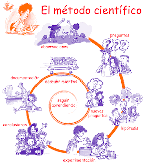 Si al gatito las lombrices los síntomas