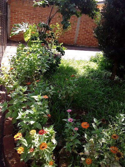 Photos of Salud Park