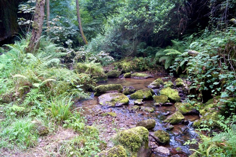 Los Molinos del Río Profundo (Villaviciosa) - Descubriendo Asturias (6)