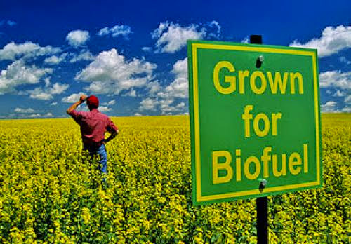 What Are Biofuels