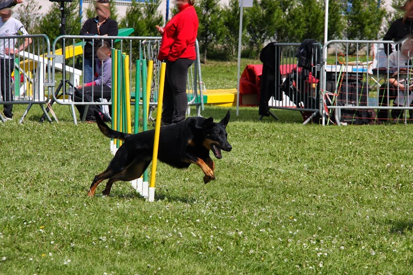 LE BEAUCERON - Page 7 IMG_8871