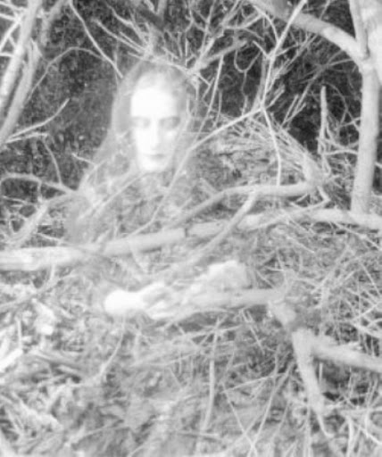Wiltshire Ghosts Image