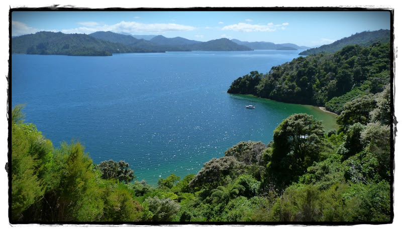 De Motueka a Kaikoura: fiordos, vinos, focas y cachalotes - Te Wai Pounamu, verde y azul (Nueva Zelanda isla Sur) (4)