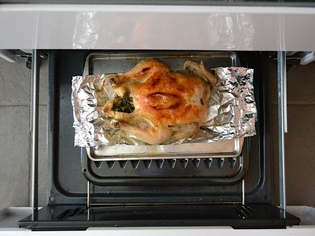 broiled chicken (browned on top) 