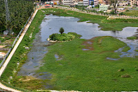 28-Aug-2011 Pic: Shubho Banerjee