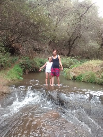 Photos of Parque El Salto