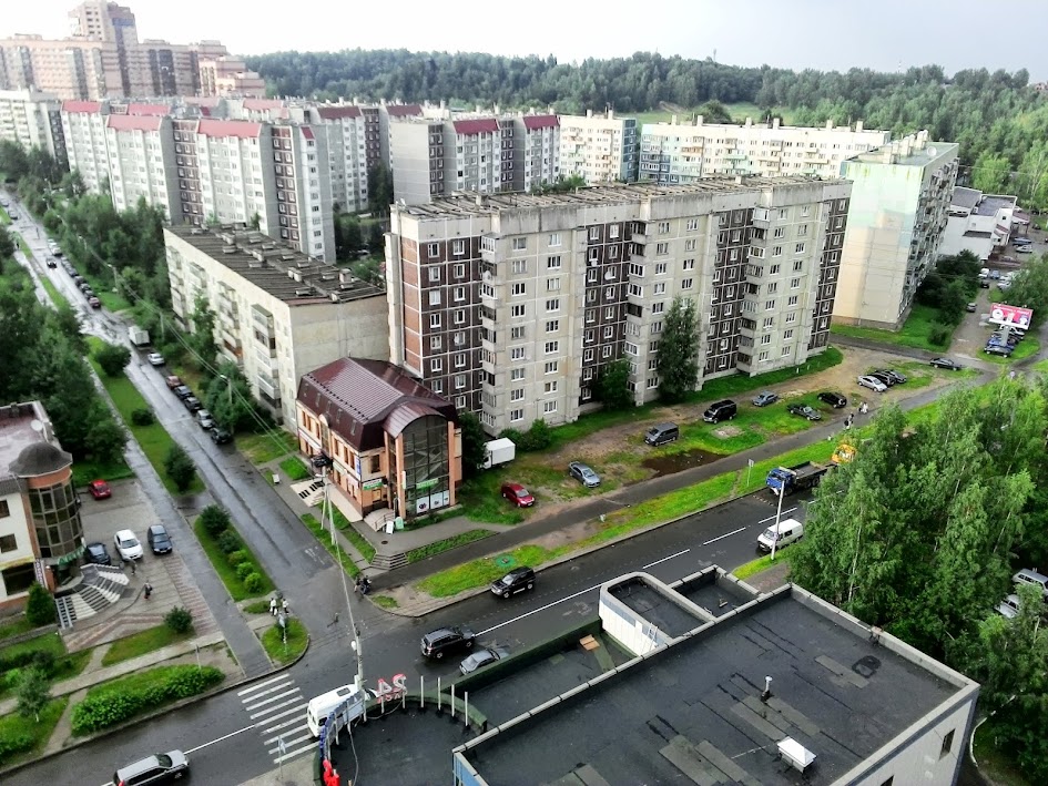 Дома во Всеволожске тесно соседствуют с чернично-малиновым лесом