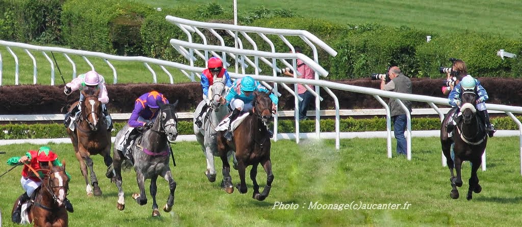 Photos Auteuil 8-06-2014  - Page 2 IMG_1904
