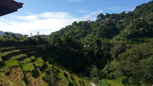 Bogah homestay