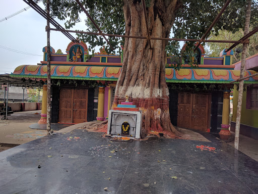 Sri Chamundeshwari Temple, Police Quarters, Hosaline Rd, Hassan, Karnataka 573201, India, Place_of_Worship, state KA