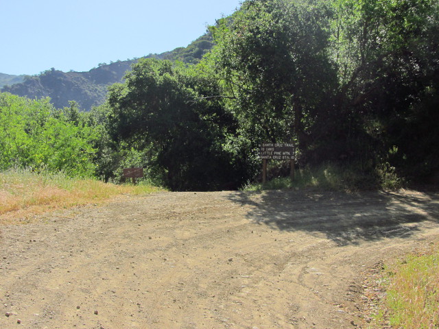 trail leaving the road