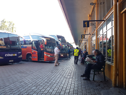 Terminal Rodoviario Valparaiso