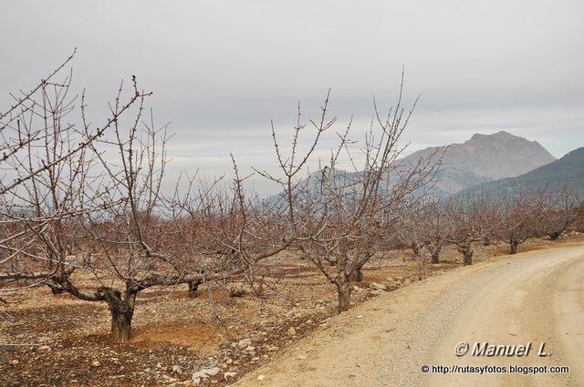 Sendero Fuenmayor