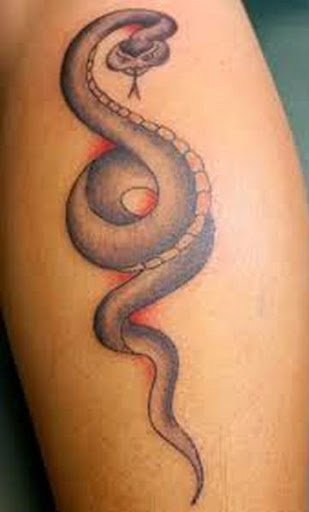 Snake Tattoos