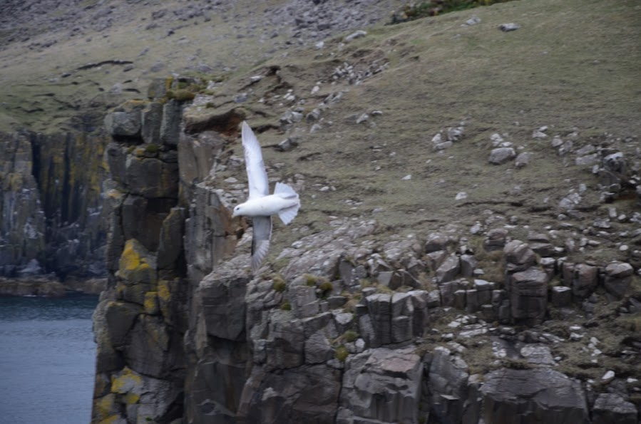 ECOSSE - ILE de SKYE en mai 2015 05052015%2B%252852%2529