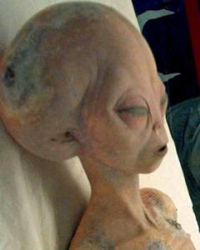 Aliens Are Here On Earth Says Scientists